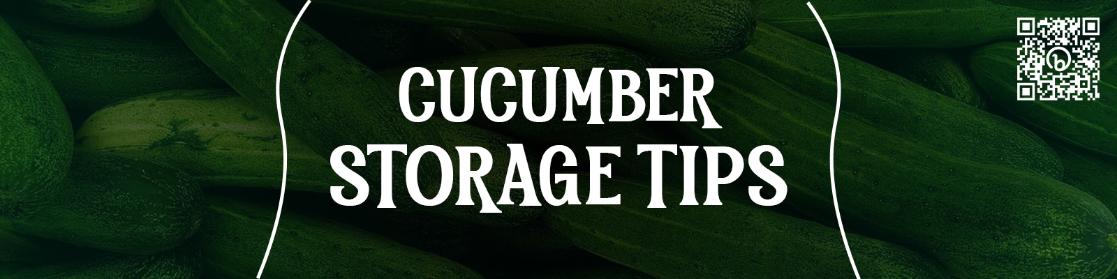 Learn How to Store Cucumbers for Longer-Lasting Cukes